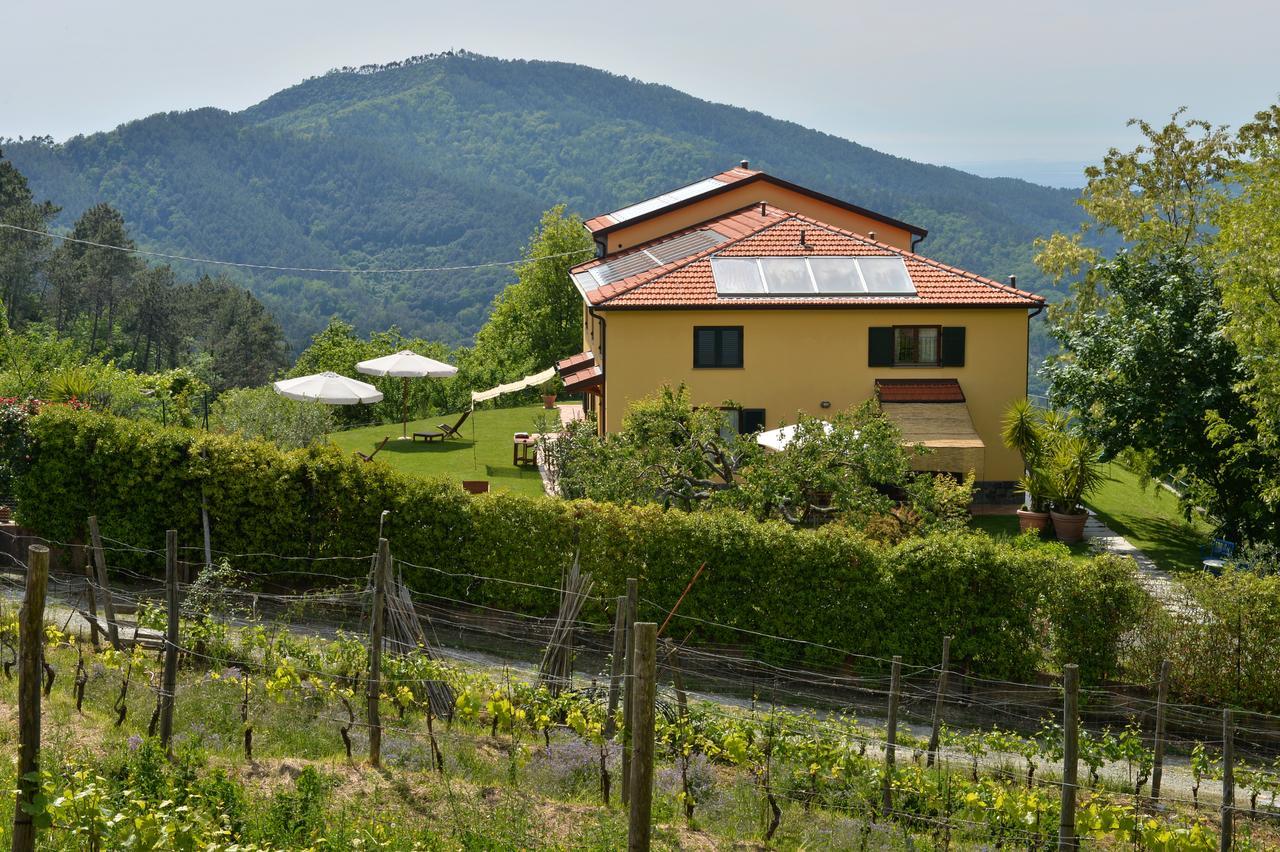 Il Laghello Di Amina Villa Фрамура Екстериор снимка